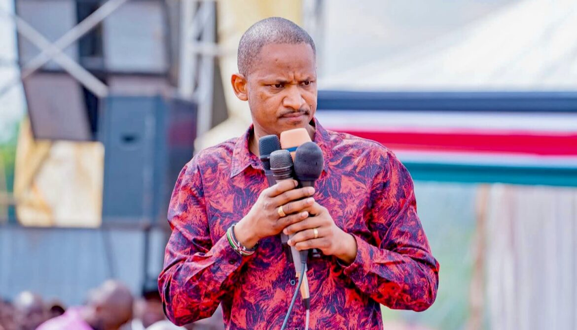 Embakasi East MP Babu Owino speaks during a past rally. Photo: Babu Owino | Facebook