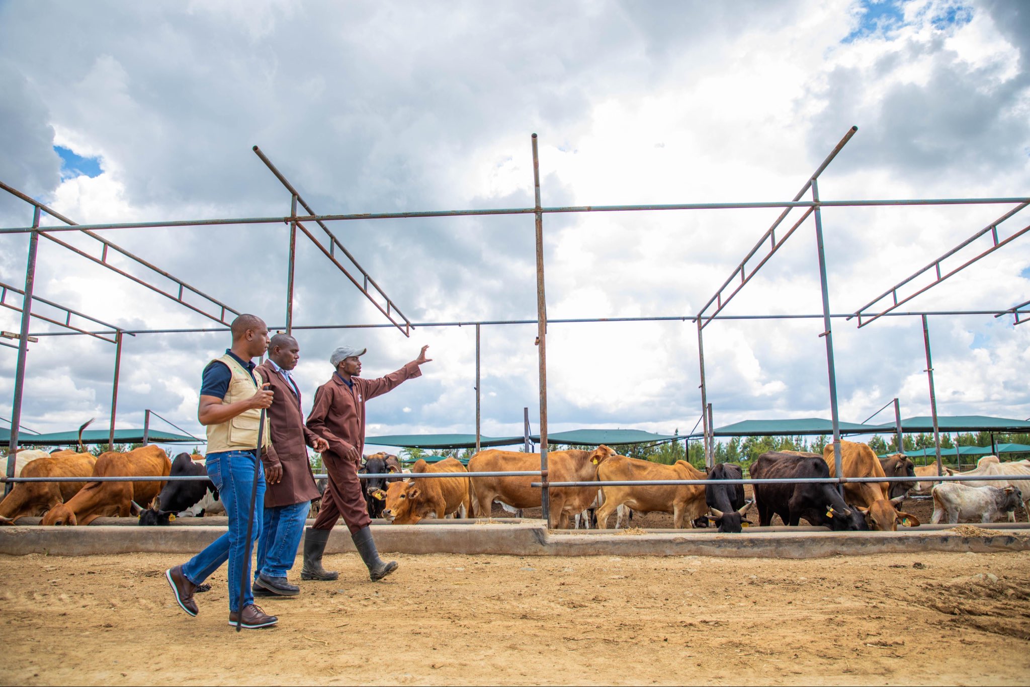 Livestock and Development State Department PS Mike. Photo: Jonathan Mueke Source: X