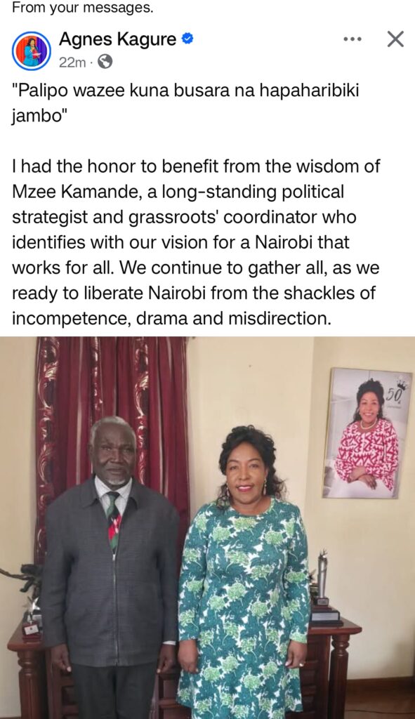 Agnes Kagure meeting in Nairobi. Photo: Agnes Kagure Source: Facebook 